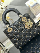 Christian Dior сумка PR221696 14