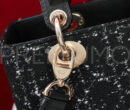 Christian Dior сумка PR292879 15