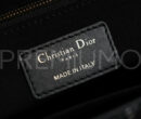 Christian Dior сумка PR292879 16