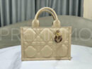 Christian Dior сумка PR248093 10