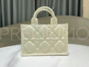 Christian Dior сумка PR300294 11