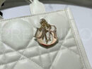 Christian Dior сумка PR300294 12
