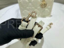 Christian Dior сумка PR300294 13