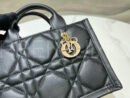 Christian Dior сумка PR577707 9