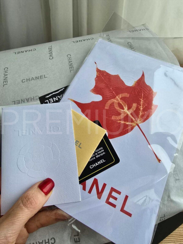 Chanel сумка PR715700 4