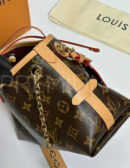 Louis Vuitton Carry All BB сумка PR353545 13
