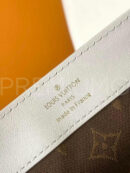 Louis Vuitton сумка PR420194 14