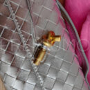 Bottega Veneta сумка PR341938 14