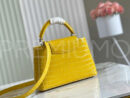 Louis Vuitton сумка PR230732 16