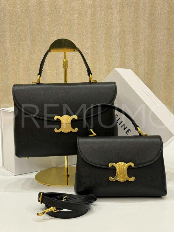 Celine сумка PR501059 5