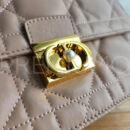Christian Dior сумка PR743953 13