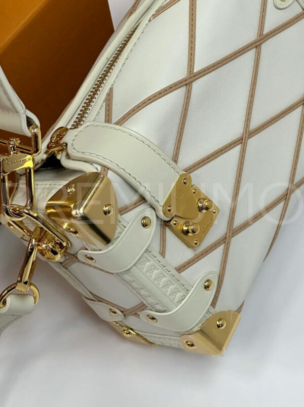 Louis Vuitton сумка PR382394 5
