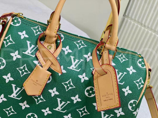 Louis Vuitton сумка PR962444 6