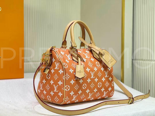 Louis Vuitton сумка PR511613 2
