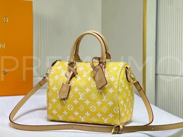 Louis Vuitton сумка PR551978 3