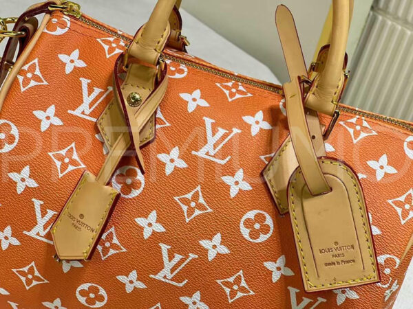 Louis Vuitton сумка PR511613 8