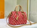 Louis Vuitton сумка PR721064 9