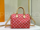 Louis Vuitton сумка PR721064 8