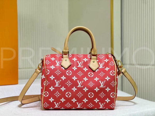 Louis Vuitton сумка PR721064