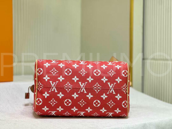 Louis Vuitton сумка PR721064 3