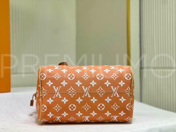 Louis Vuitton сумка PR511613 5