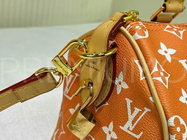 Louis Vuitton сумка PR511613 7