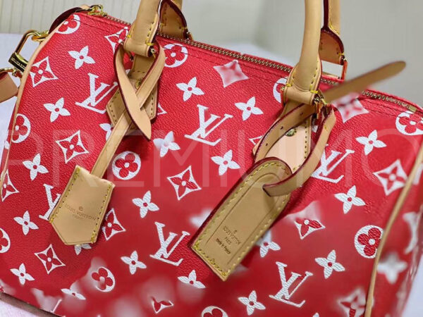 Louis Vuitton сумка PR721064 5
