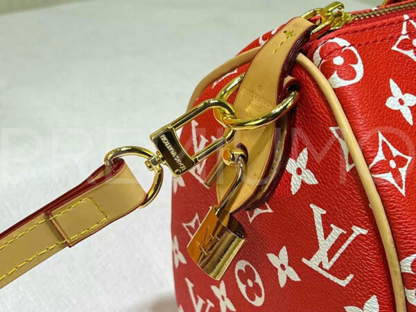 Louis Vuitton сумка PR721064 6