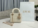 Christian Dior сумка PR395668 8