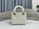 Christian Dior сумка PR395668 11