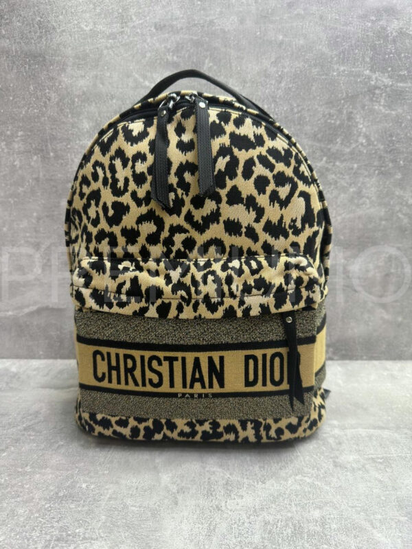 Christian Dior рюкзак PR693377