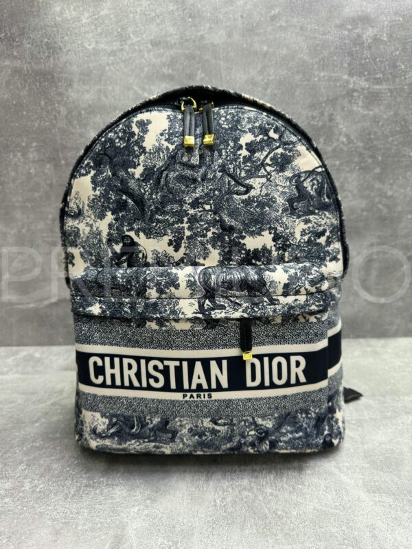 Christian Dior рюкзак PR305877