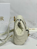 Christian Dior рюкзак PR880668 14