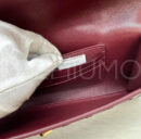 Bottega Veneta сумка PR829274 31