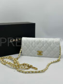 Chanel сумка PR224360 4