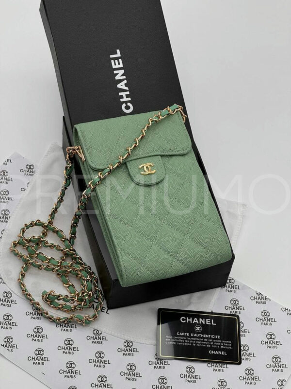 Сhanel сумка PR590702 9