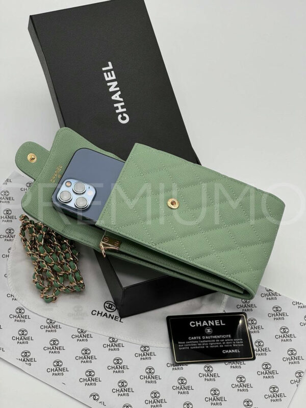 Сhanel сумка PR590702 8
