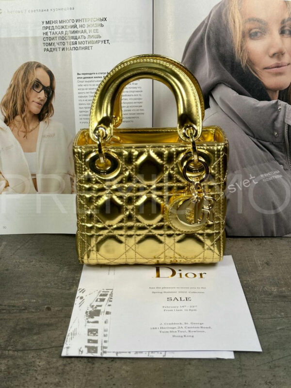 Christian Dior сумка PR543195