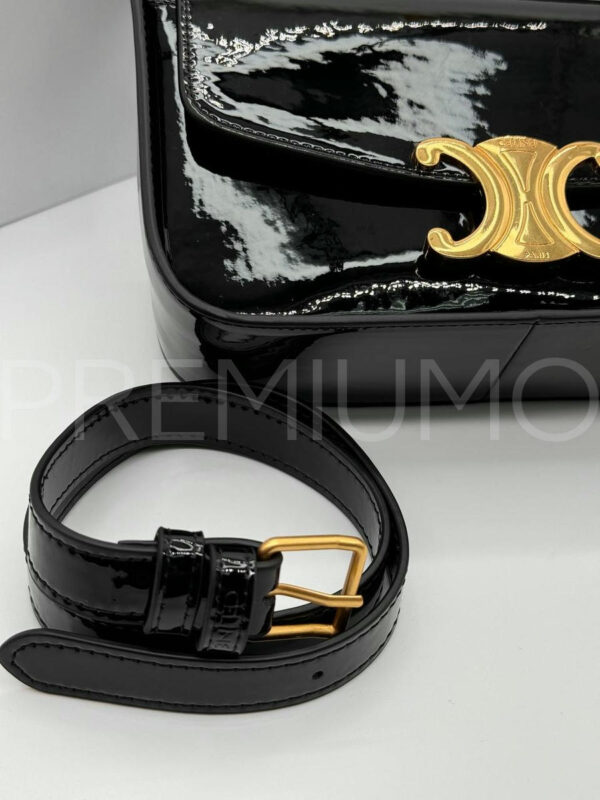 Celine сумка PR300432 7