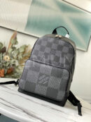 Louis Vuitton рюкзак PR284090 10