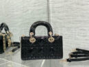 Christian Dior сумка PR666899 13