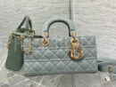 Christian Dior сумка PR308189 10