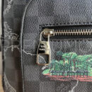 Louis Vuitton рюкзак PR674515 14