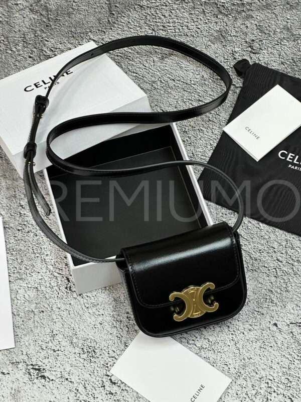 Celine сумка PR458997 12