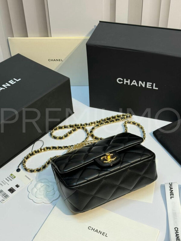 Сhanel сумка PR589851 4