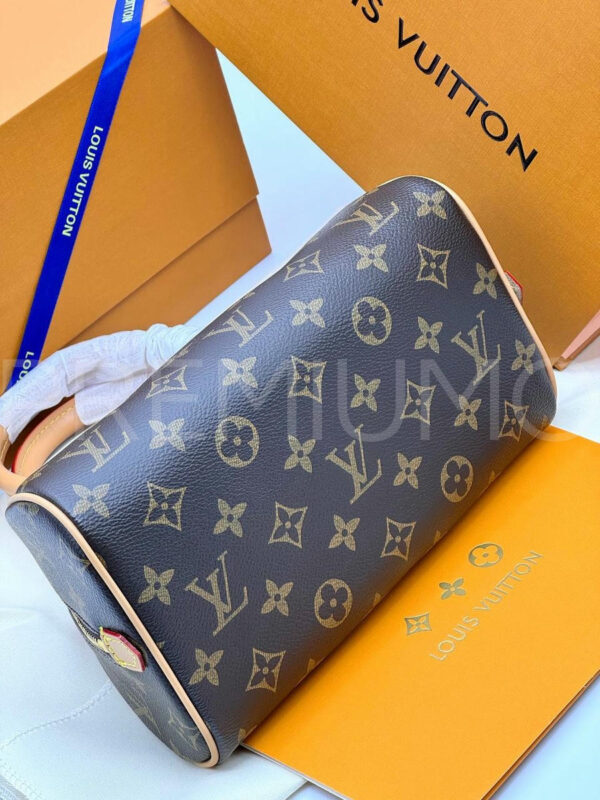 Louis Vuitton сумка PR529359 6