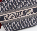 Christian Dior сумка PR255070 15