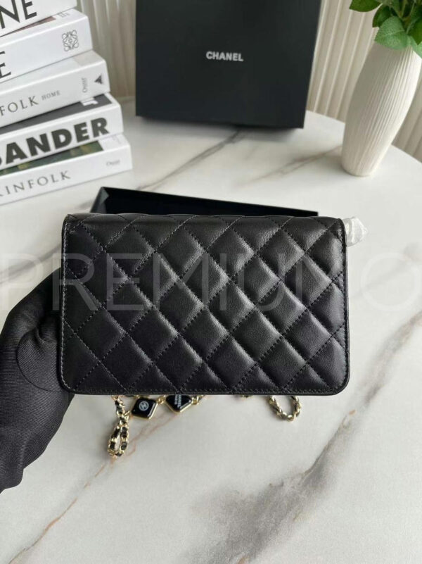 Chanel сумка PR930758 10