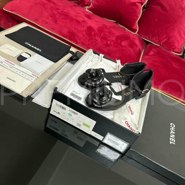 Chanel балетки PR160516 4