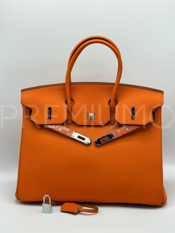 Hermes Birkin сумка PR494415